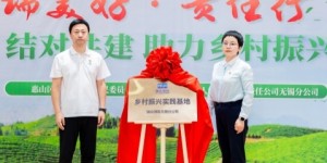 瑞众保险开展“桃香传爱，共享甜蜜”行动，织就“党建+金融+公益”守护网